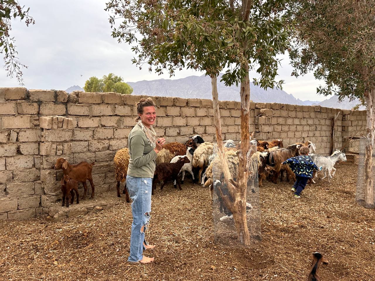 Regenerative Agriculture: Healing the Planet one Farm at the Time